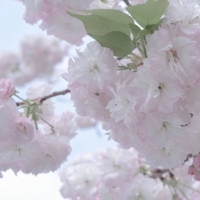 昭阳FurryQQ群介绍